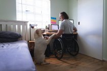 Белый инвалид, сидящий на инвалидной коляске и трогающий собаку, используя ноутбук, работающий из дома. Концепция инвалидности и инвалидности — стоковое фото