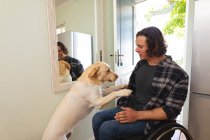 Homme handicapé caucasien assis en fauteuil roulant jouant avec son chien à la maison. handicap et handicap concept — Photo de stock