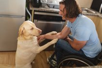 Uomo disabile caucasico seduto sulla sedia a rotelle a giocare con il cane a casa. concetto di disabilità e handicap — Foto stock