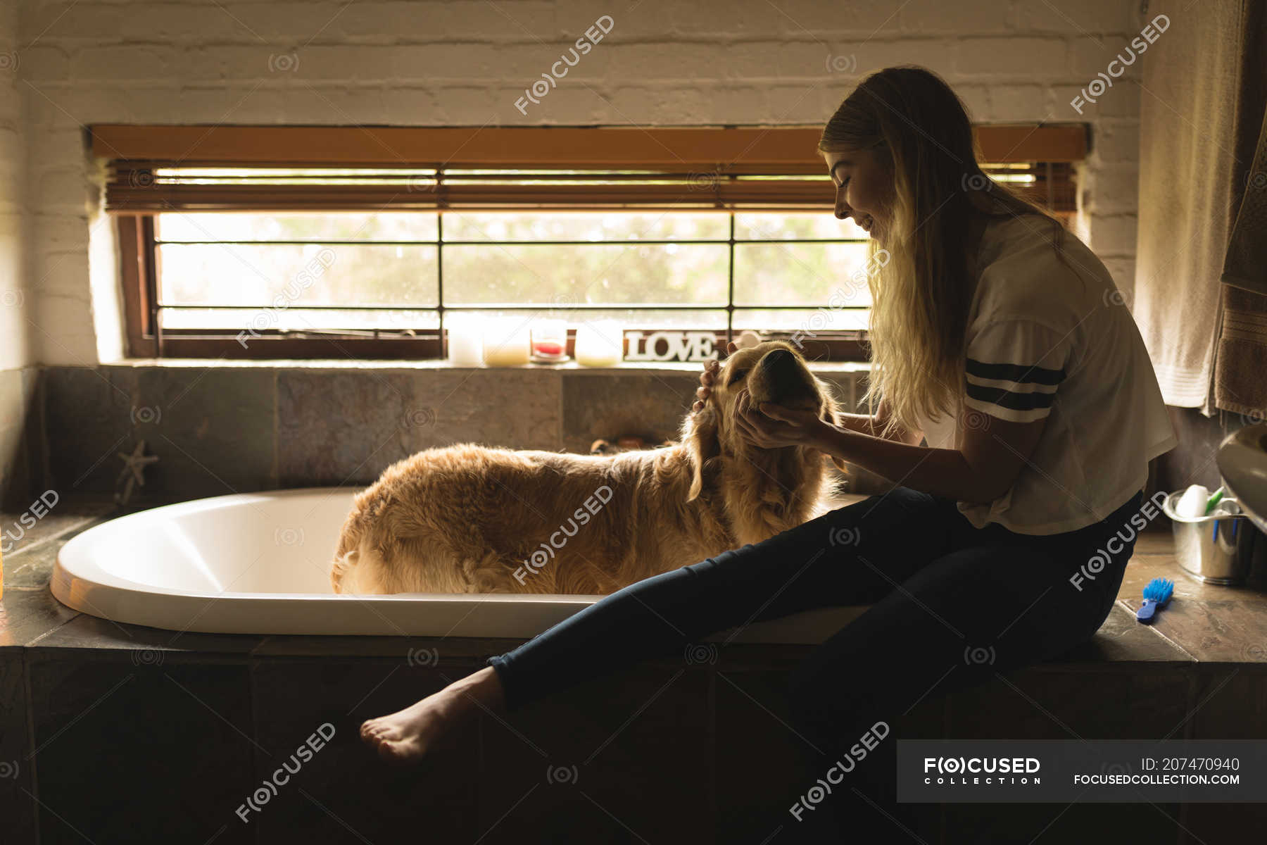 Girl cleaning a dog in bathroom at home — female, one person - Stock ...