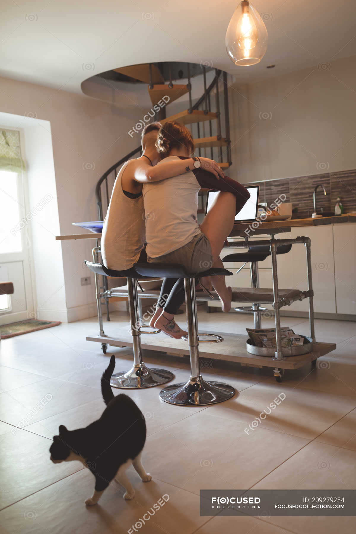 Rear View Of Lesbian Couple Using Laptop In Kitchen With Cat Walking On