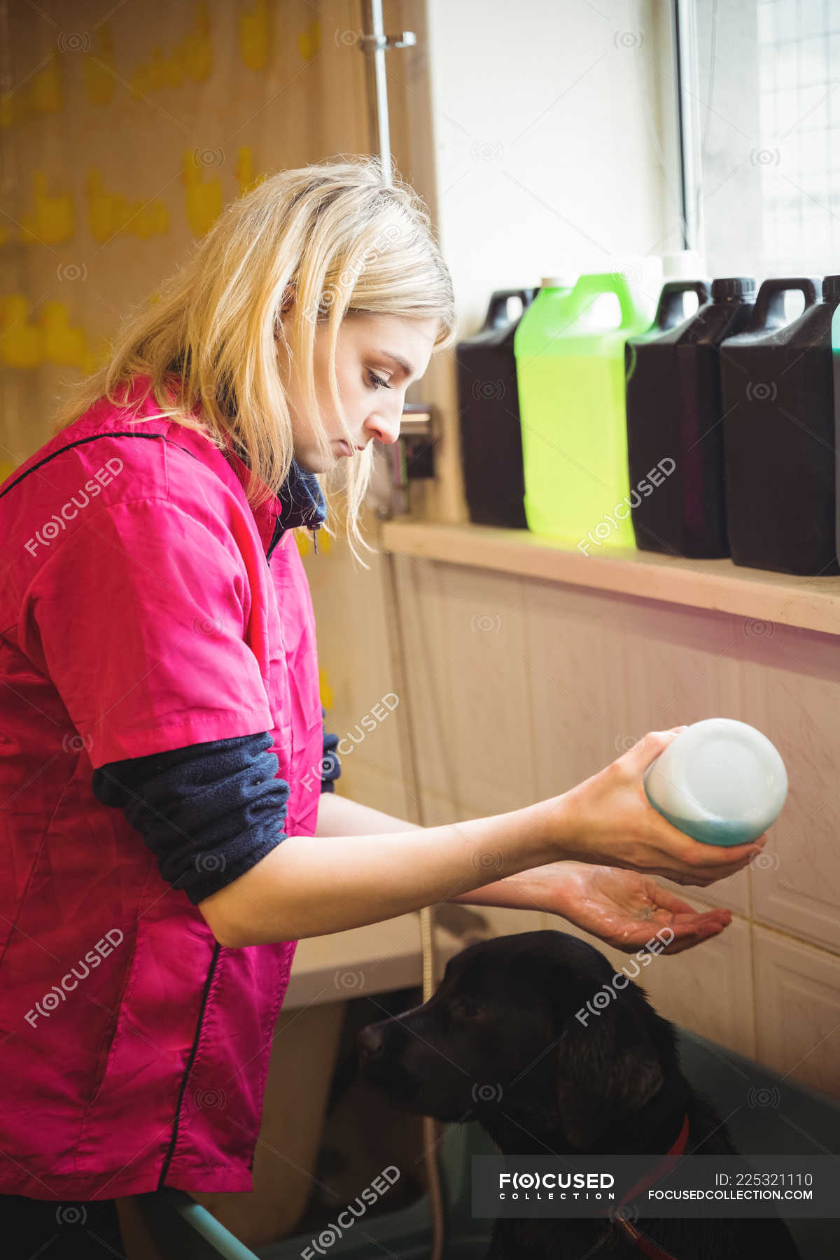 Woman bathing a dog in bathtub at dog care center — health, Dog Care