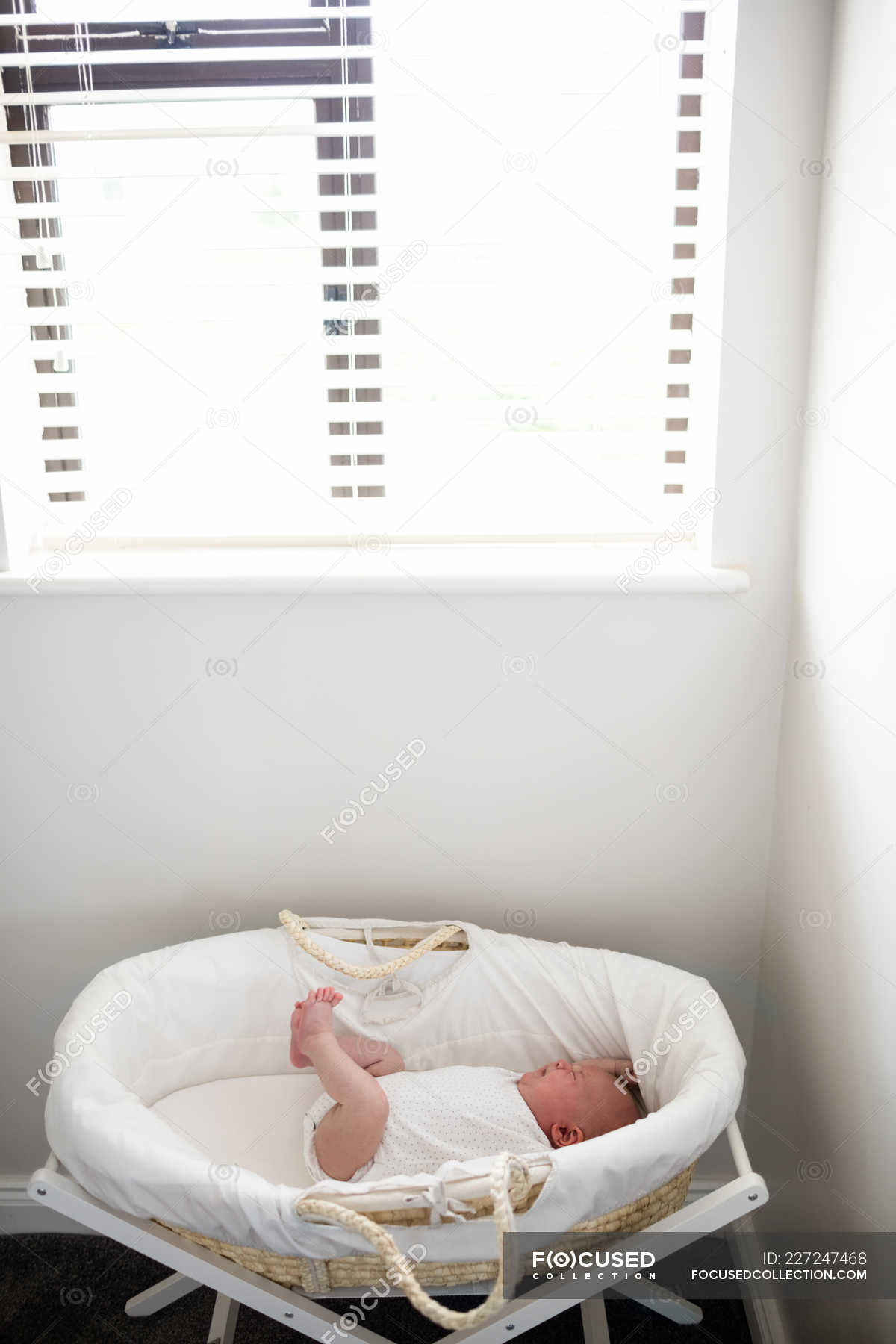 newborn baby moses basket