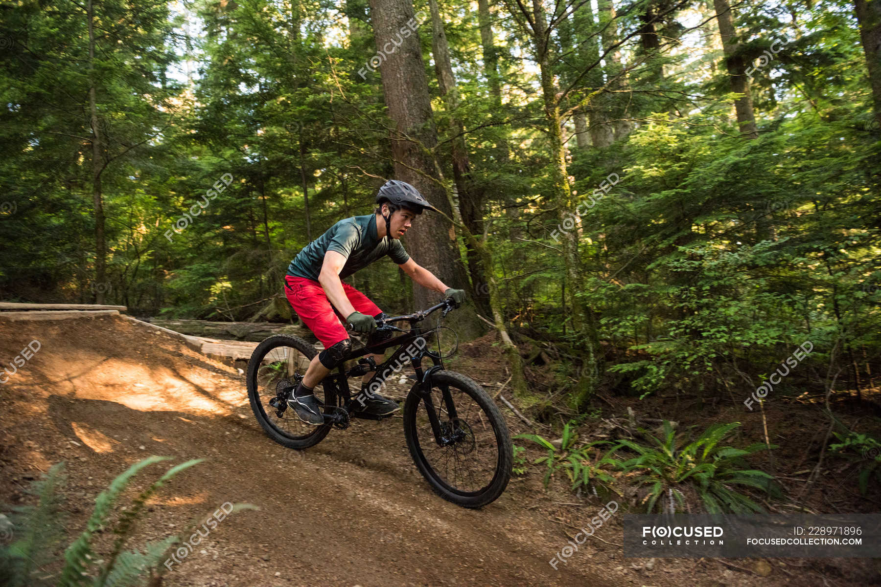 Male cyclist cycling in forest on a sunny day — beautiful, people
