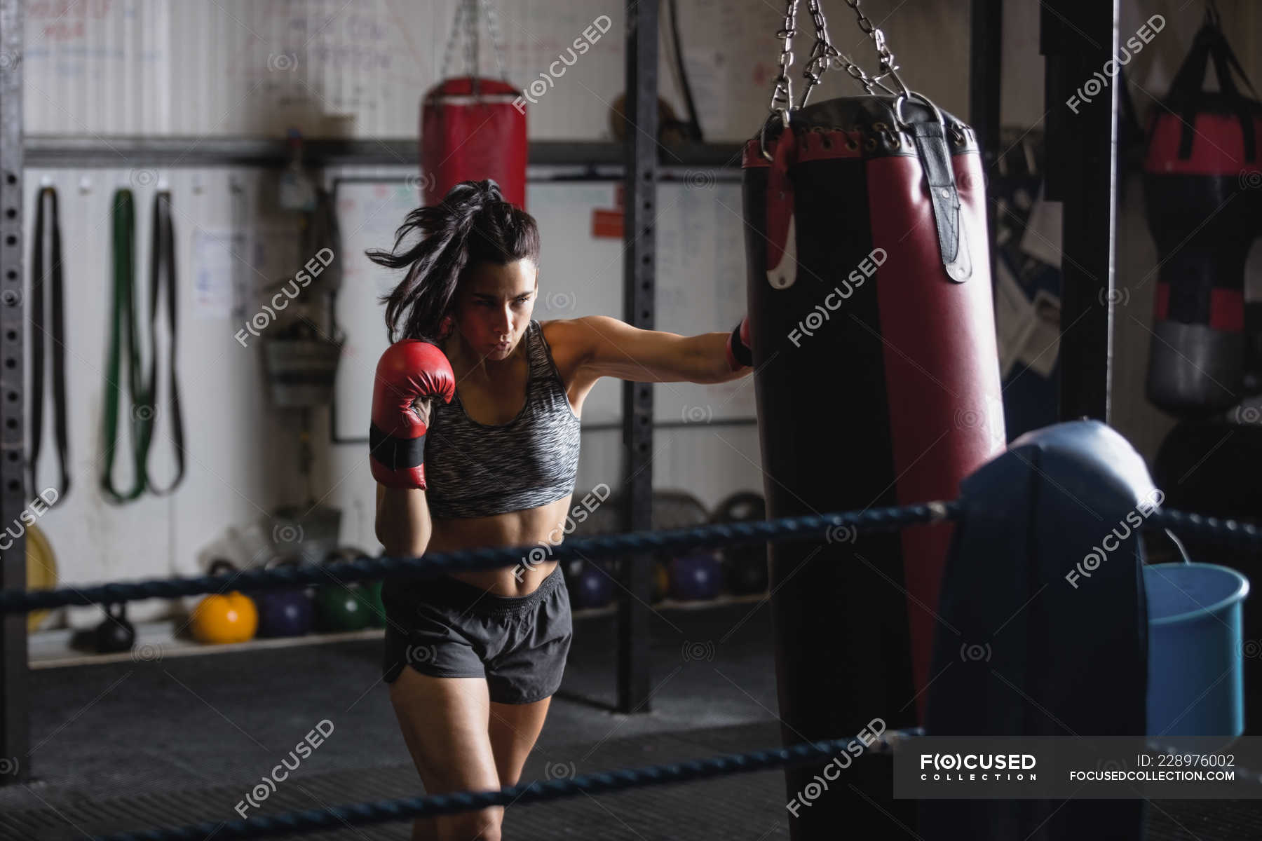 Confident Female boxer practicing boxing with punching bag in fitness ...