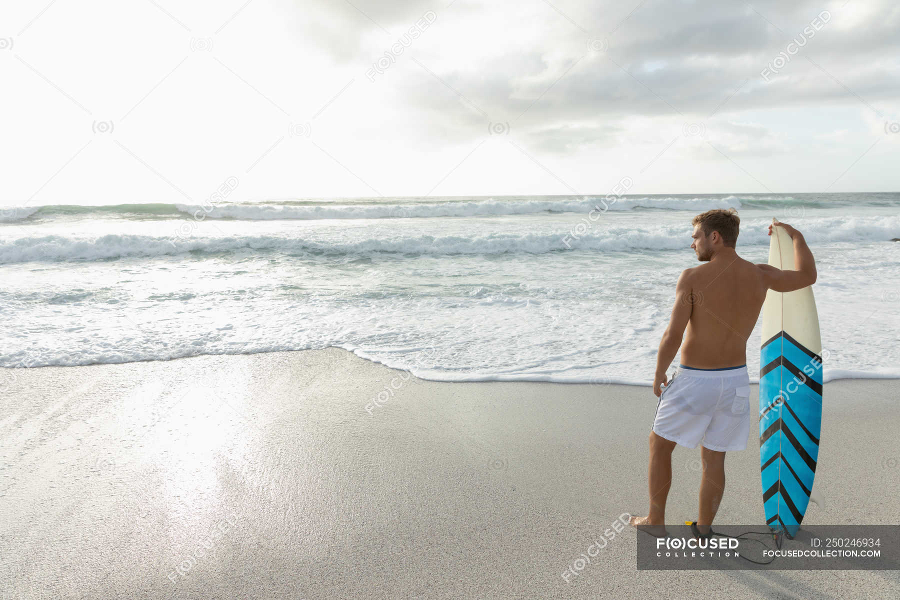 Focused 250246934 Stock Photo Rear View Blonde Male Surfer 