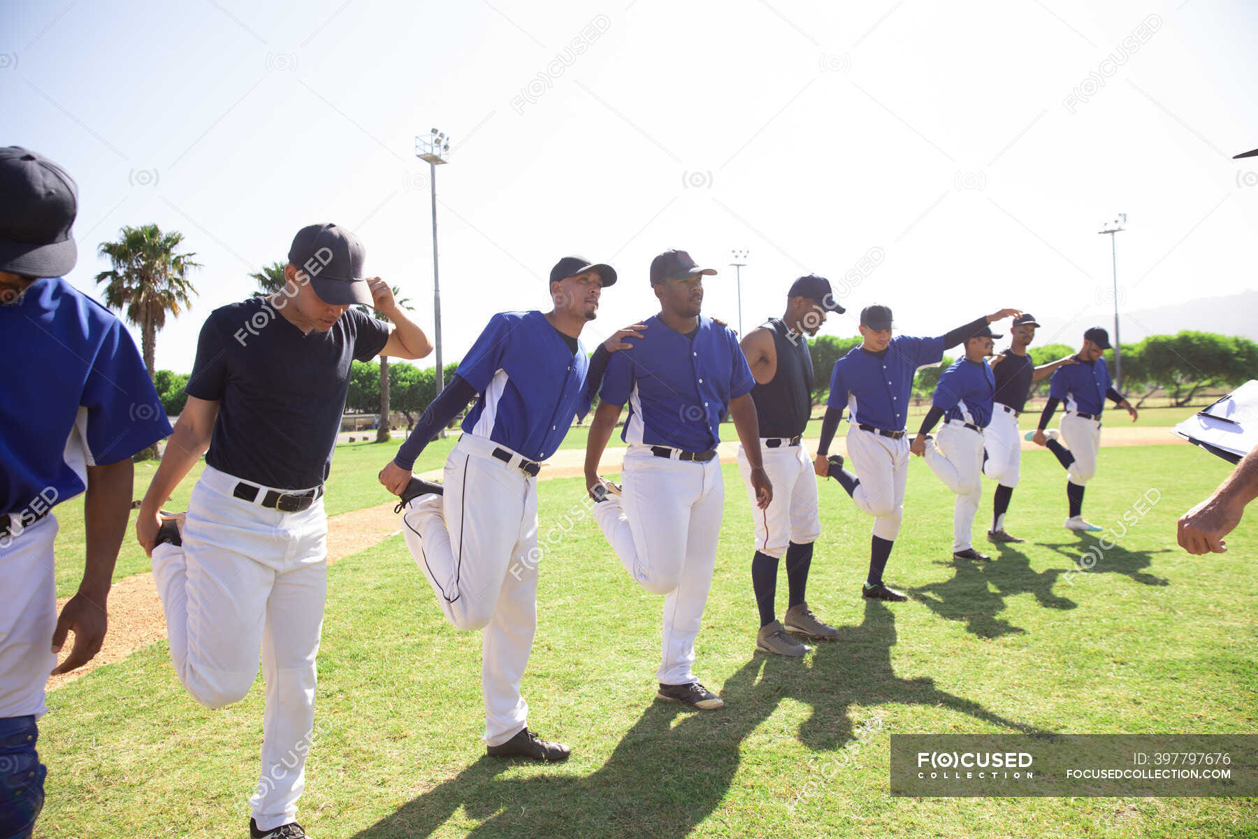 Baseball players stretching in line — fit, training - Stock Photo ...