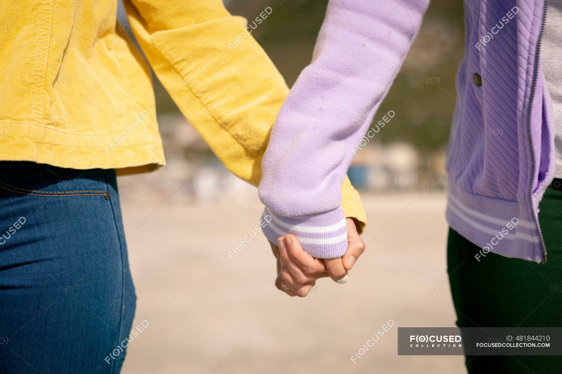 Midsection Of Diverse Female Bisexual Couple Holding Hands Walking Along Beach Female Friends 2315
