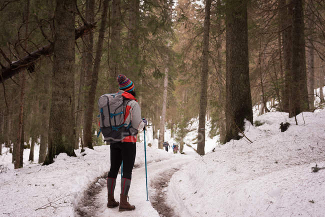 Vista posteriore della donna con zaino e palo da trekking in piedi sul sentiero — Foto stock
