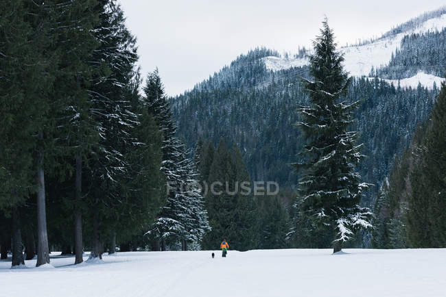 Uomo in bicicletta con il suo cane su un paesaggio innevato durante l'inverno — Foto stock