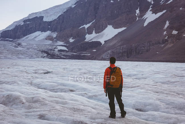 Vue arrière du randonneur masculin debout par une journée ensoleillée pendant l'hiver — Photo de stock