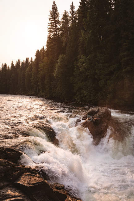 Vista da cachoeira em um dia ensolarado, banff parque nacional — Fotografia de Stock