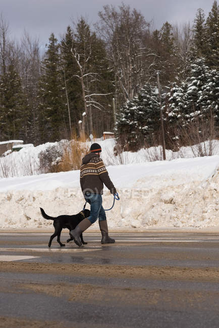 Человек гуляет с собакой по улице зимой — стоковое фото