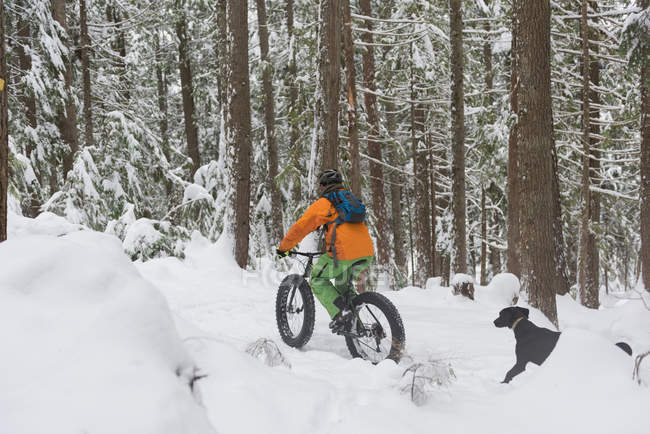 Homem andando de bicicleta com seu cão em uma paisagem nevada durante o inverno — Fotografia de Stock