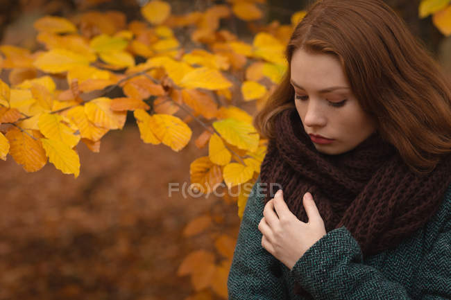 Женщина стоит в парке осенью — стоковое фото