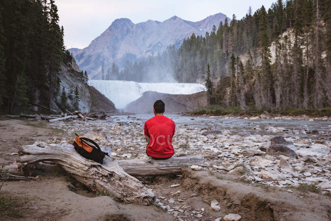 Вид сзади человека, сидящего на бревне возле водопада — стоковое фото