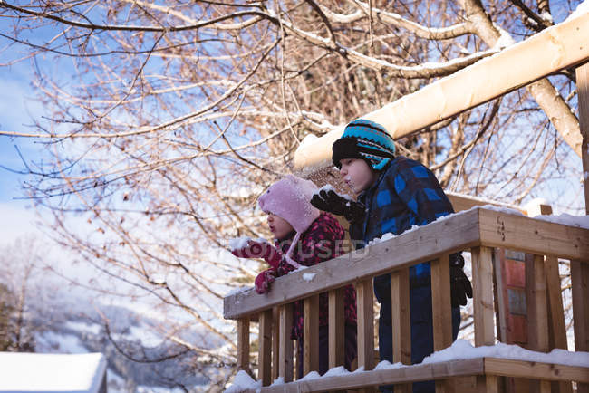 Блудниці грають зі снігом на дитячому майданчику взимку — стокове фото
