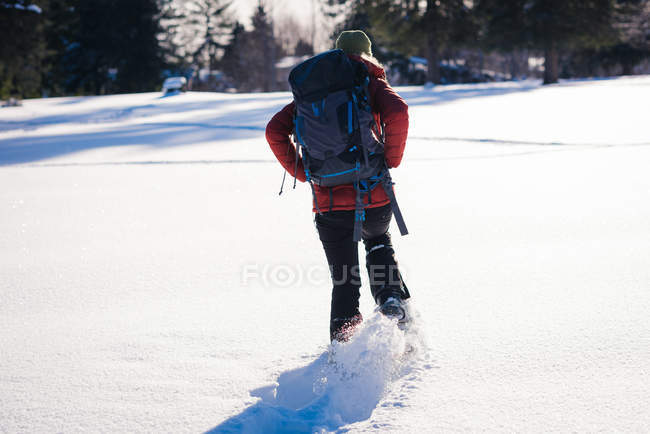 Vista trasera de la mujer caminando sobre el paisaje cubierto de nieve - foto de stock