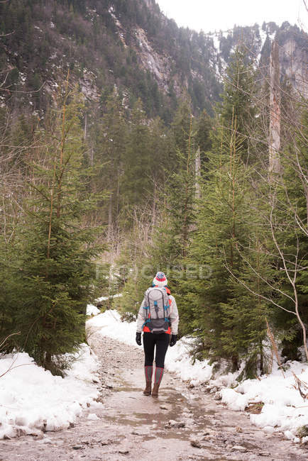 Vue arrière de la femme avec sac à dos marchant sur la route en hiver — Photo de stock