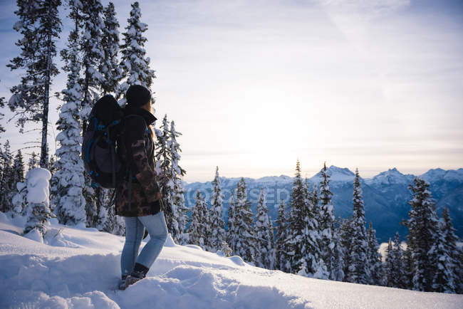 Rear view of woman with backpack looking at snow covered mountains and pine tree — Stock Photo