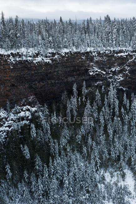 Vista della falesia montana durante l'inverno — Foto stock