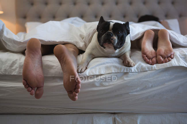 Couple lying on bed with their pet dog in bedroom at home — Stock Photo