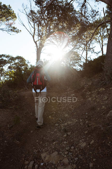 Visão traseira do homem idoso andando com mochila na floresta no campo — Fotografia de Stock