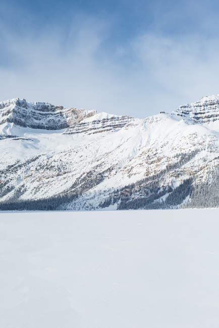 Красивий сніг вкрив гору взимку — стокове фото