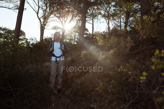 Seniorin wandert mit Rucksack im Wald auf dem Land — Stockfoto