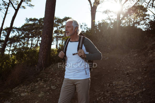 Seniorwanderer steht mit Rucksack im Wald auf dem Land — Stockfoto