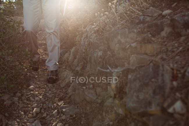 Low section of senior hiker walking in forest — Stock Photo