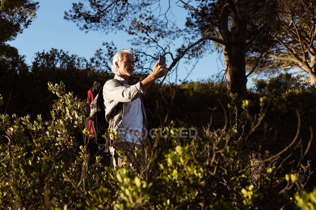 Senior hiker taking selfie with mobile phone in forest at countryside — Stock Photo