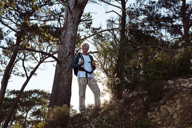 Caminhante sênior de pé com mochila na floresta no campo — Fotografia de Stock