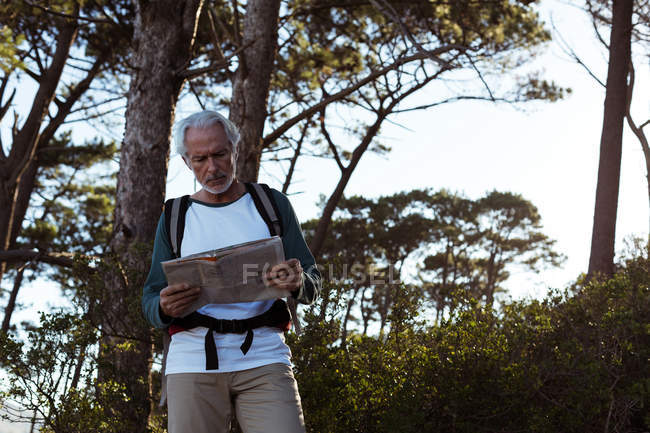 Seniorwanderer schaut sich Landkarte im Wald an — Stockfoto