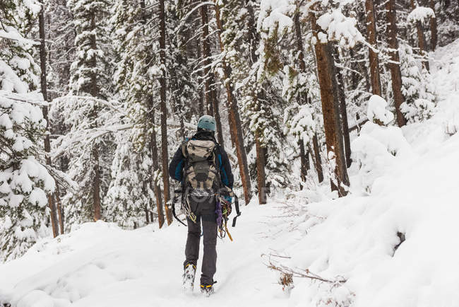 Homem alpinista caminhando na floresta nevada durante o inverno — Fotografia de Stock