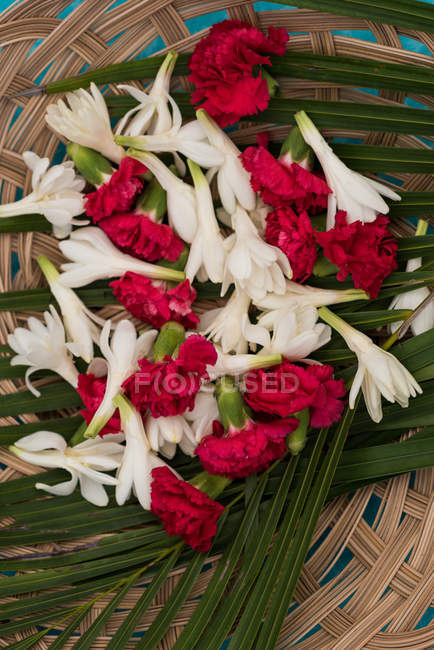 Primer plano de flores frescas en la cesta - foto de stock