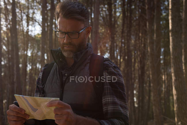 Homem olhando para o mapa na floresta em um dia ensolarado — Fotografia de Stock