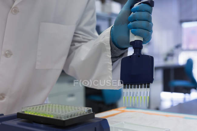 Seção média do cientista analisando uma amostra no laboratório — Fotografia de Stock