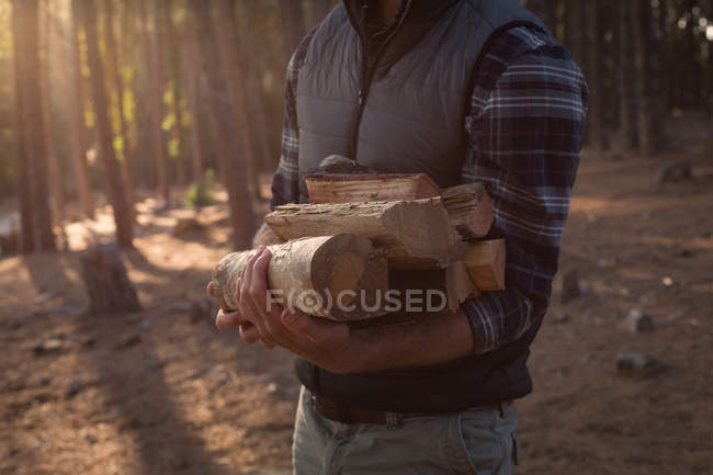 Seção média de homem segurando troncos na floresta — Fotografia de Stock