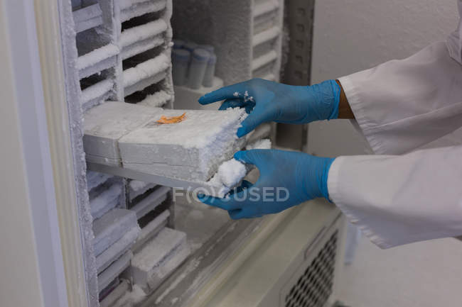 Scientist taking test tube from freezer in laboratory — analysis ...