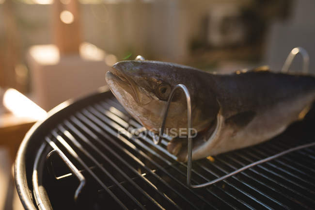 Primer plano de pescado en una barbacoa en el patio trasero - foto de stock