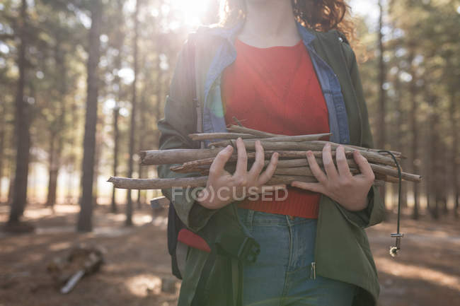 Sección media de la mujer sosteniendo palos de plantas en el bosque - foto de stock