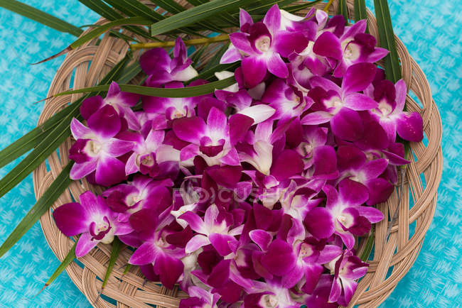 Close-up de flores de plumeria na cesta — Fotografia de Stock
