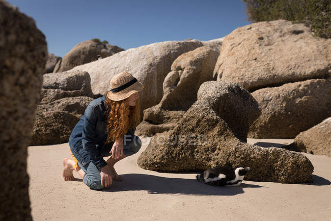 Woman looking at penguin at beach — Stock Photo