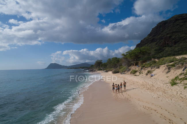 Groupe d'amis marchant sur la plage par une journée ensoleillée — Photo de stock