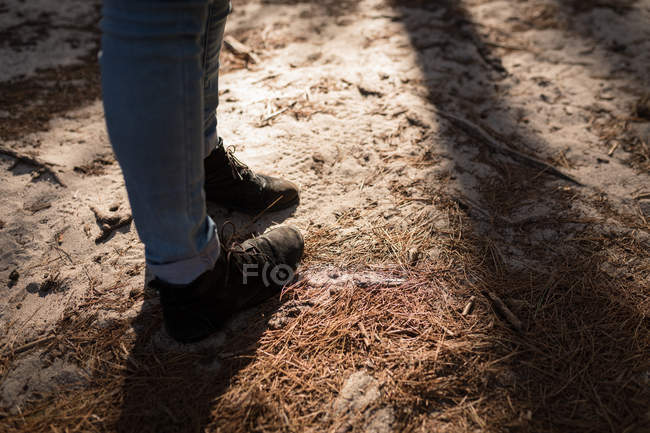 Mujer de sección baja de pie en el bosque - foto de stock