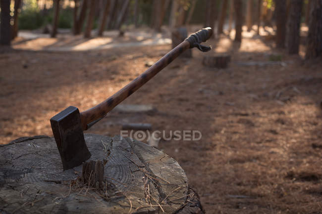 Close-up of an axe being thrust into a stump — Stock Photo
