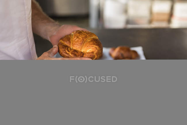Sección media del panadero masculino sosteniendo rollos de media luna horneados en la panadería - foto de stock