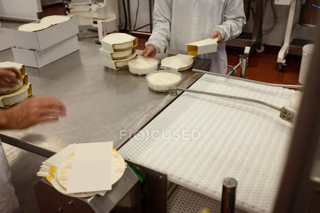 Seção média de trabalhadores embalando alimentos perto da linha de produção — Fotografia de Stock