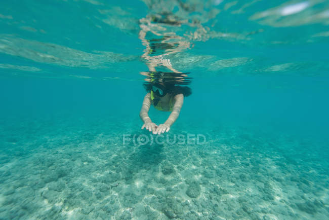 Mujer buceando bajo el agua en mar turquesa - foto de stock